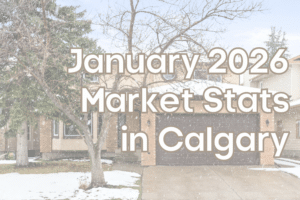 Market Stats Cover (7)